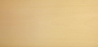 Sycomore (europ. Maple) veneer