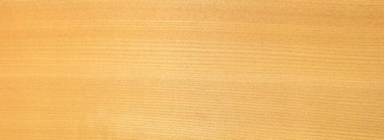 Elm europ. veneer