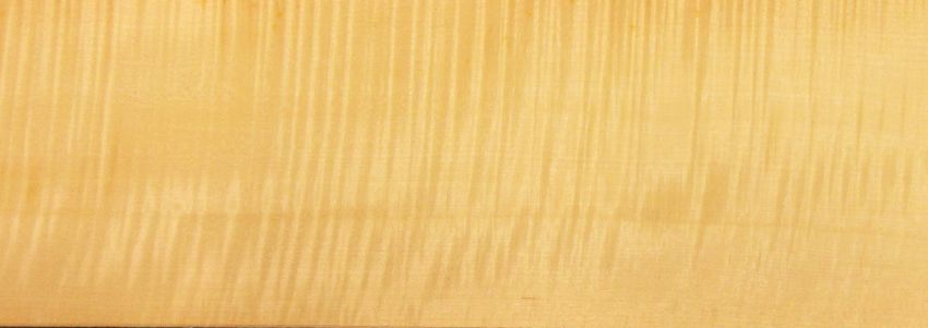 Sycomore figured veneer