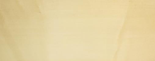 Sycomore (europ. Maple) veneer