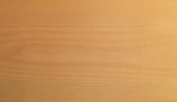 Beech veneer