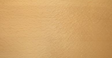 Beech veneer