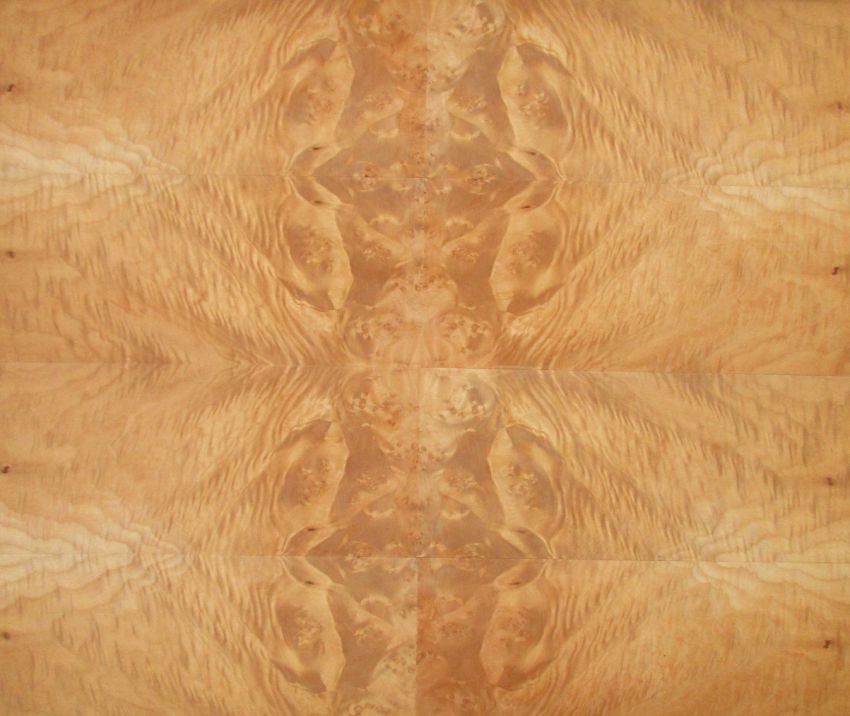 Ahorn Maser (Wurzelholz) Furnier