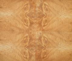 Maple Burl veneer