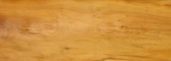Yew - tree veneer