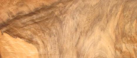 Walnut Burl veneer