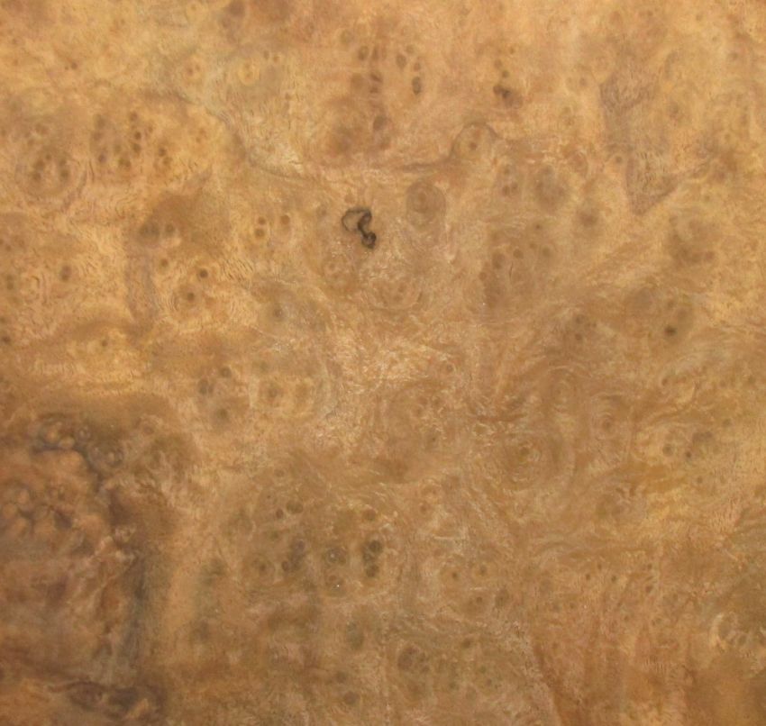 Walnut Burl veneer