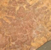 Walnut Burl veneer