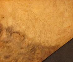 Myrthle Burl veneer