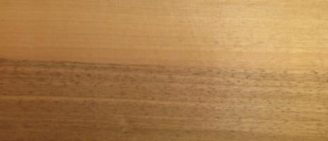 Walnut europ. veneer