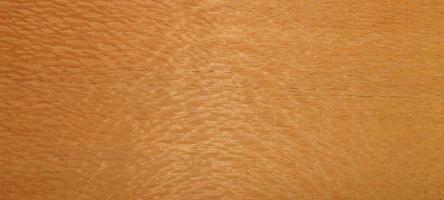 Louro Faia veneer