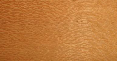 Louro Faia veneer