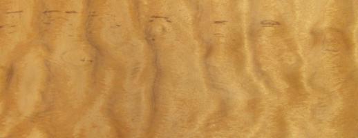 Bubinga curly veneer
