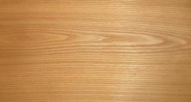 Elm (Red Elm) veneer