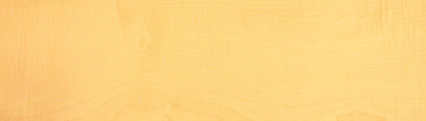 Sycomore (europ. Maple) veneer