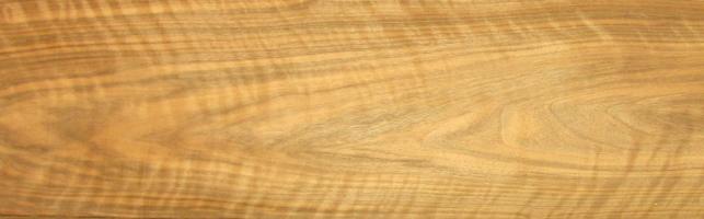 Walnut europ. veneer