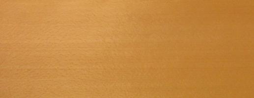 Beech veneer