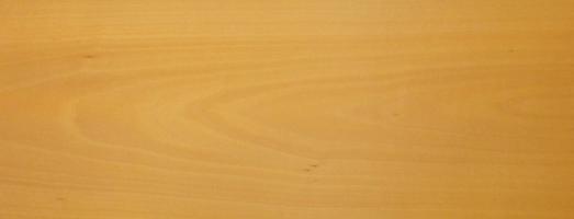 Beech veneer