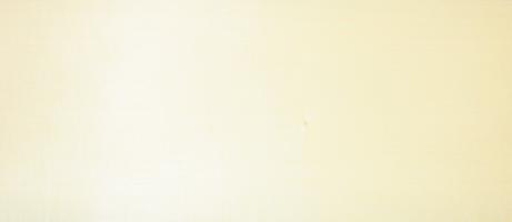 Sycomore (europ. Maple) veneer