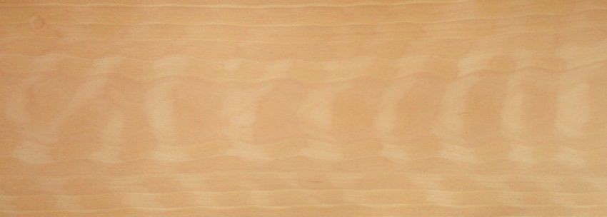 Beech veneer