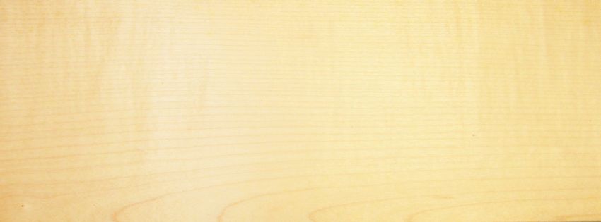 Sycomore (europ. Maple) veneer