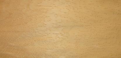 Maple (Bird´s Eye Maple) veneer