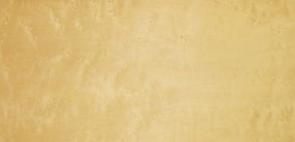 Maple (Bird´s Eye Maple) veneer
