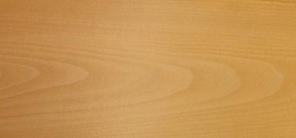 Beech veneer