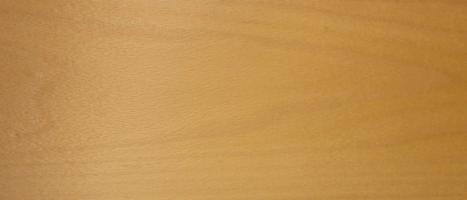 Beech veneer
