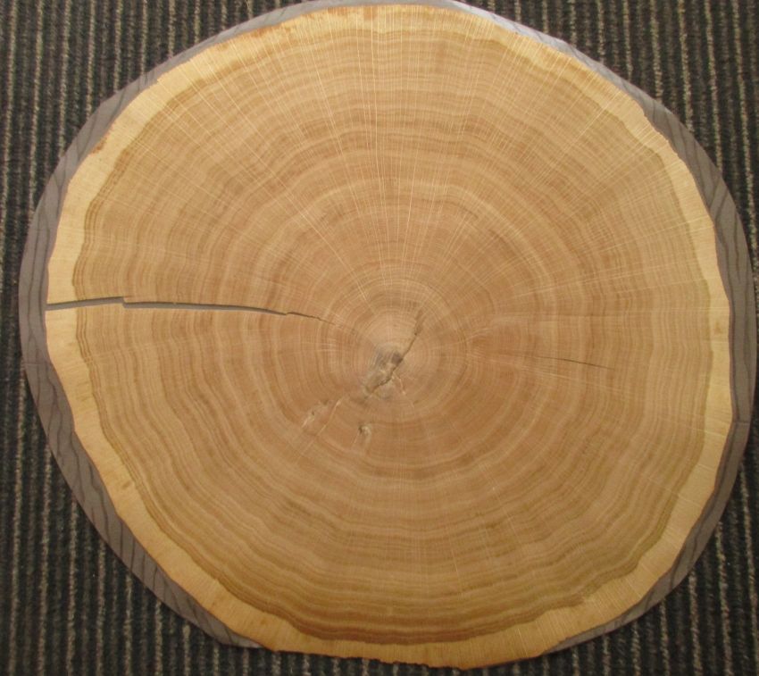 Eiche Hirnholz Furnier