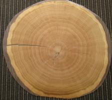 Oak cross-grained veneer veneer