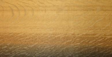 Oak Bog Oak veneer