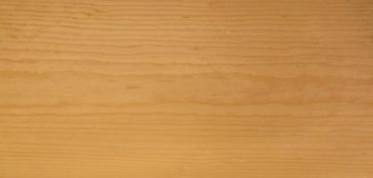 Spruce veneer