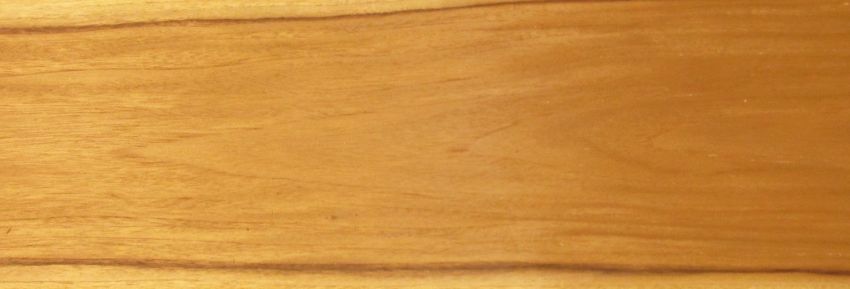 Teak Plantagenholz Furnier