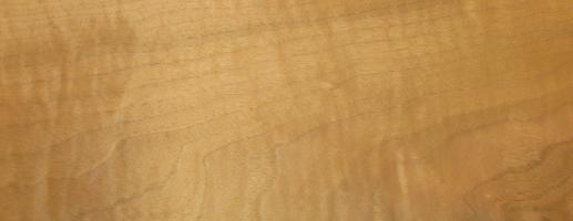 Walnut europ. veneer