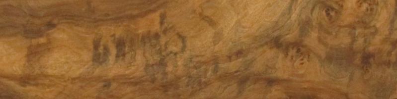 Walnut Burl veneer