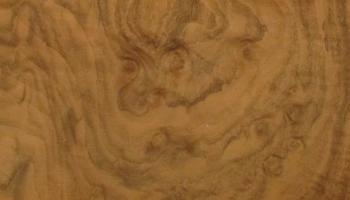 Walnut Burl veneer