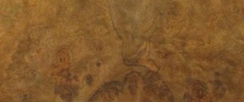Walnut Burl veneer