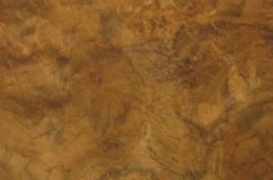 Walnut Burl veneer