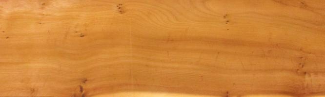 Yew - tree veneer