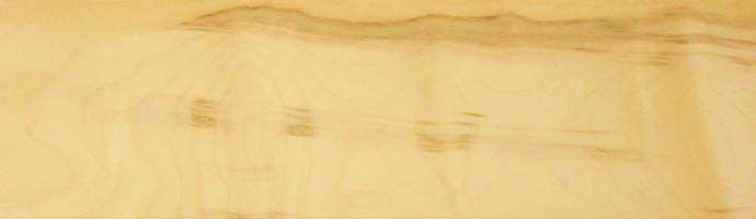 Sycomore (europ. Maple) veneer