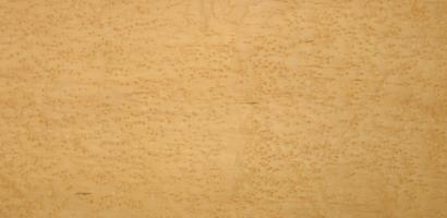 Maple (Bird´s Eye Maple) veneer