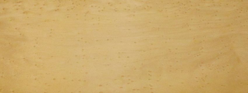 Maple (Bird´s Eye Maple) veneer