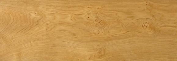 Oak knotty veneer