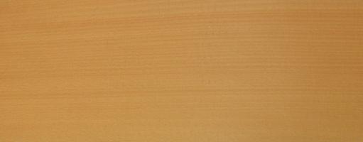 Beech veneer