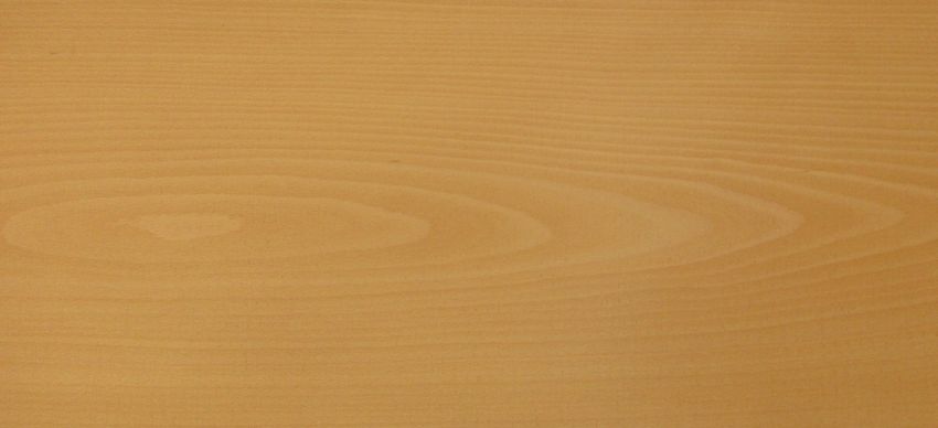 Beech veneer