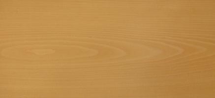 Beech veneer