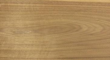 Walnut (Black Walnut) veneer
