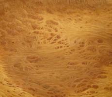 Vavona Burl veneer