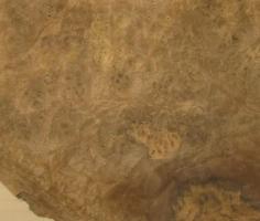 Walnut Burl veneer